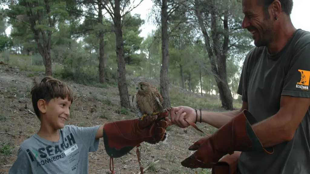 CASES DE PENE ECOZONIA 3