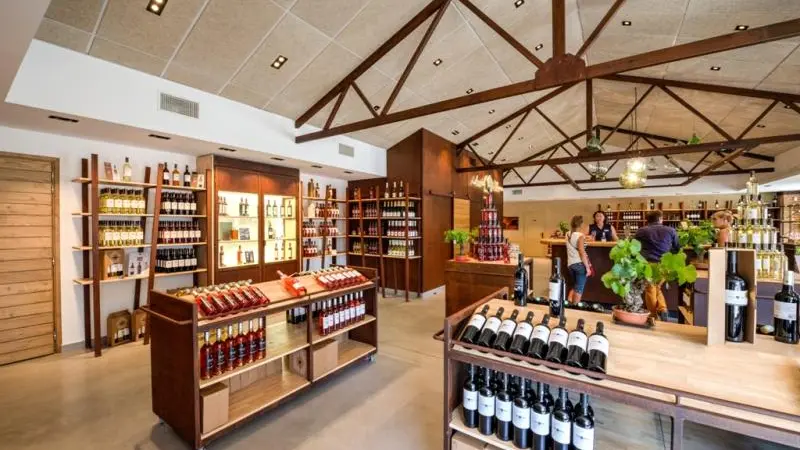 CAVE ARNAUD DE VILLENEUVE SALSES. 2