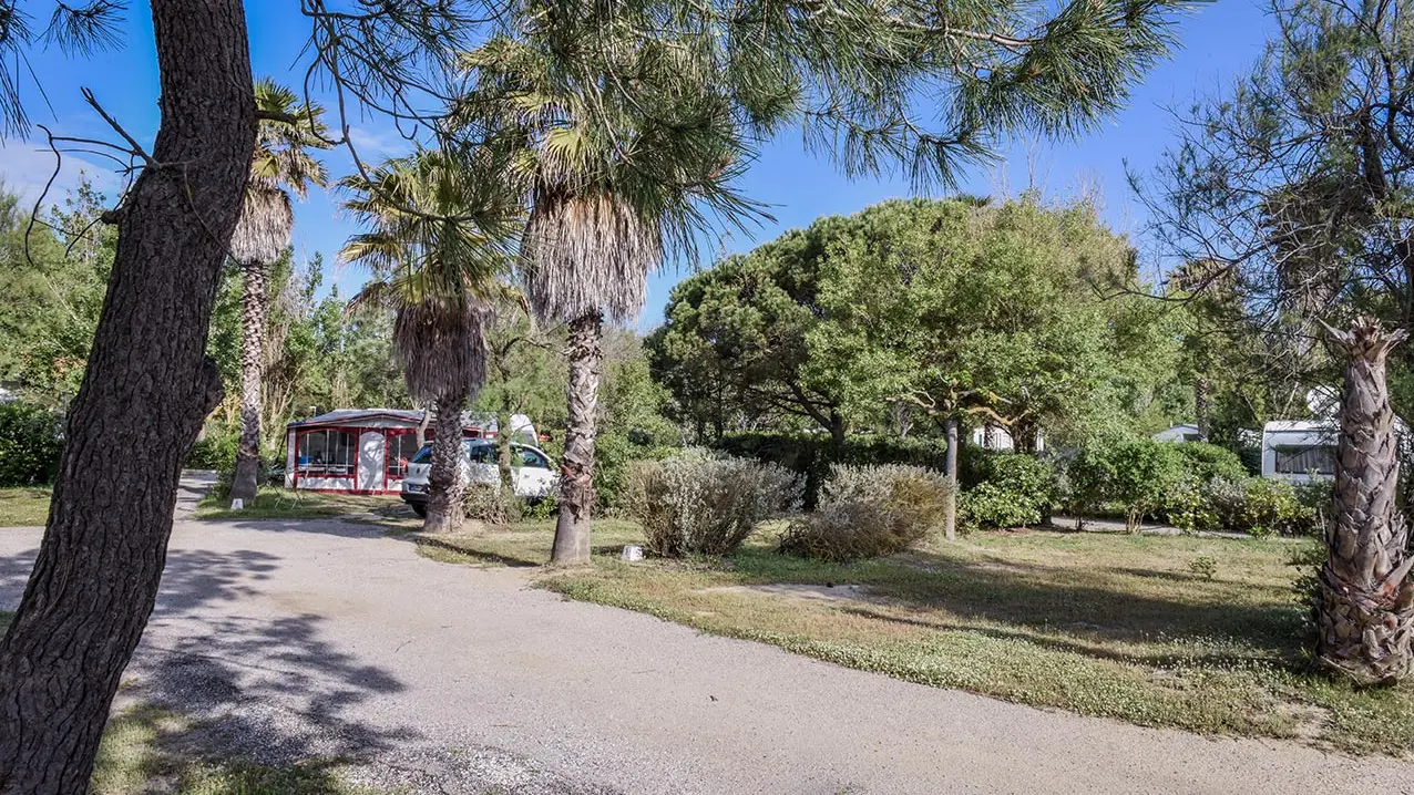 Camping Municipal de la Plage 6