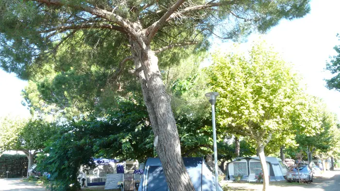 Camping Cap Sud