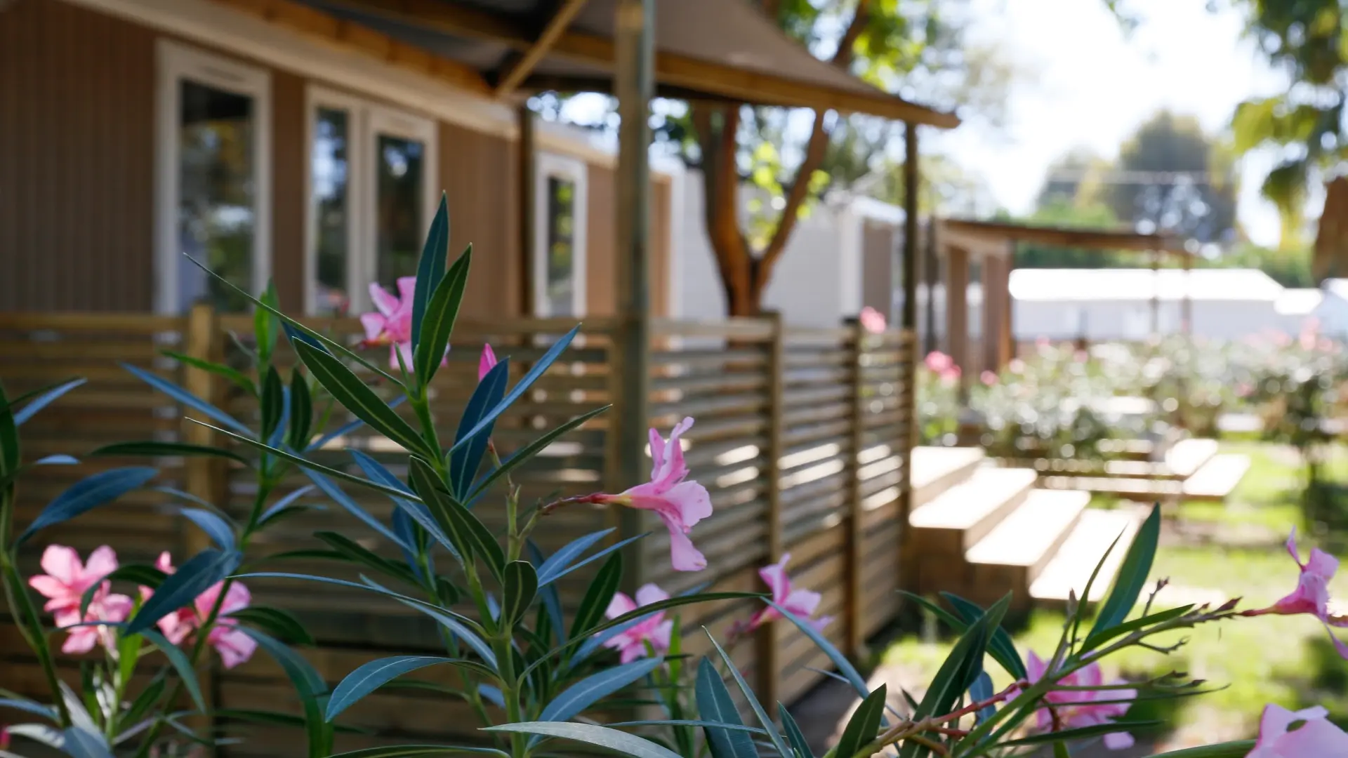 Camping Le Bosc Saint-Cyprien 03 1920px