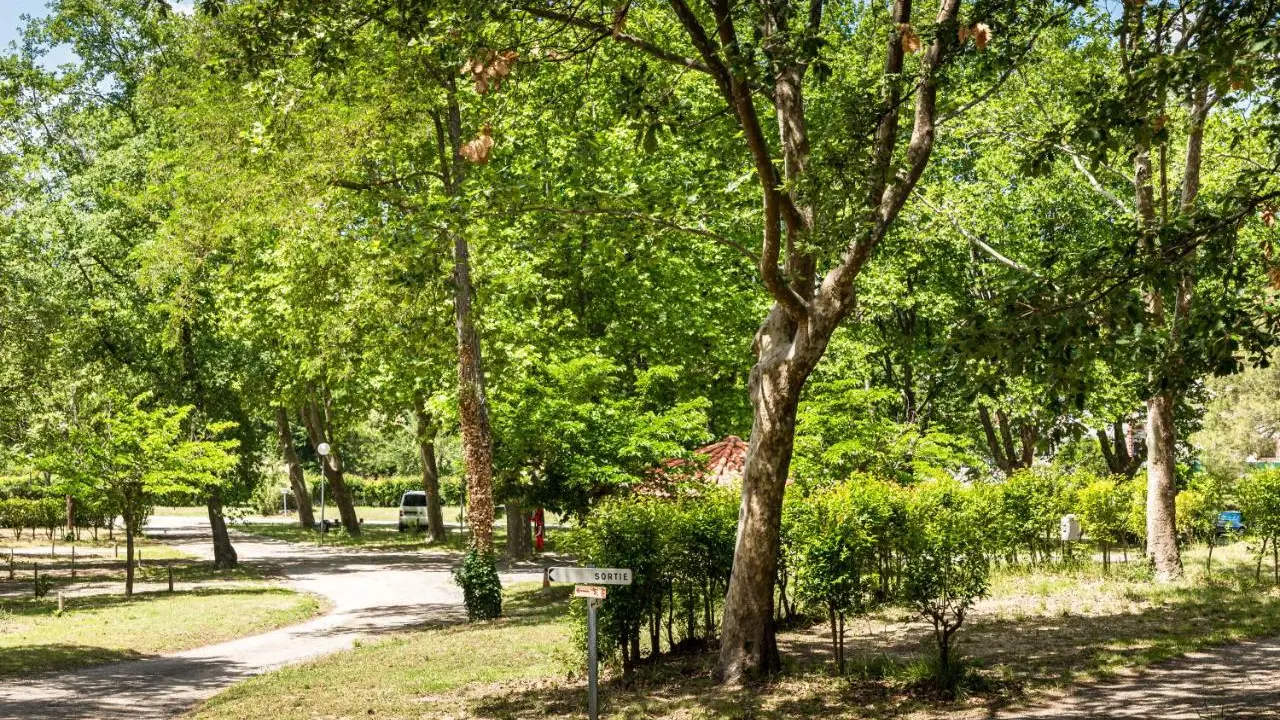 Camping Les rives du Lac Vinça (7)