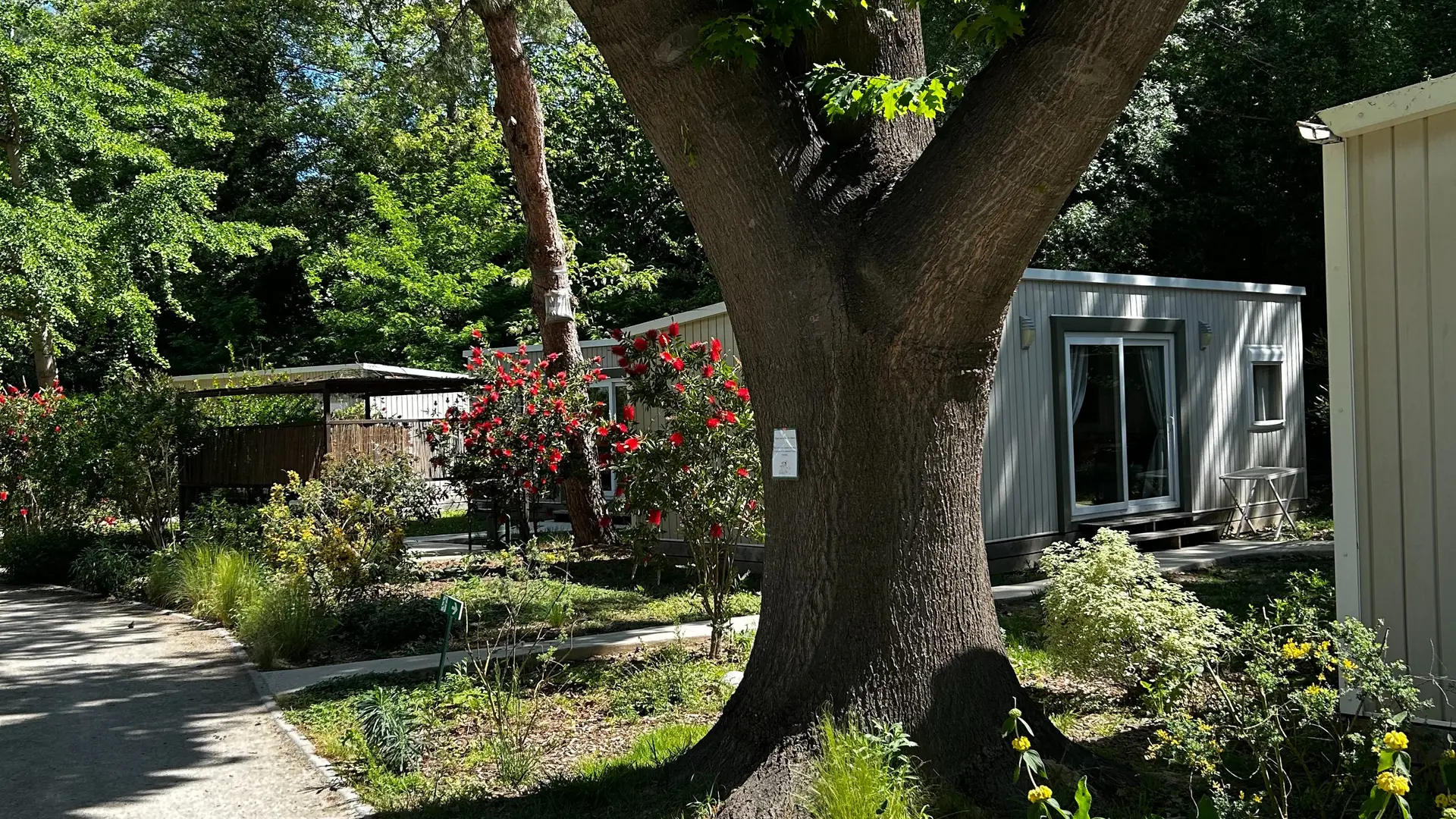 Camping les Portes du Canigou