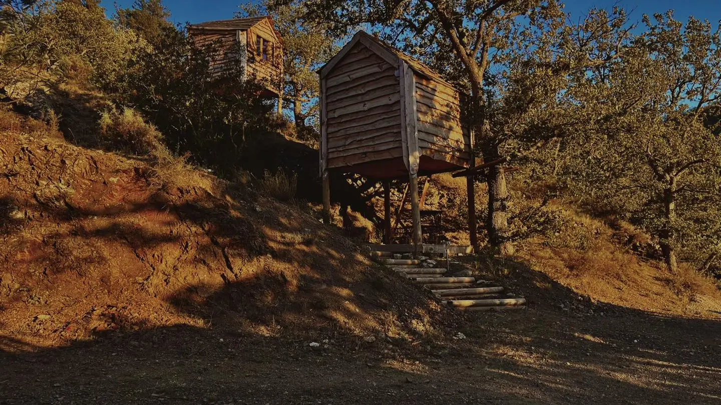 Cabane perchée sur pilotis