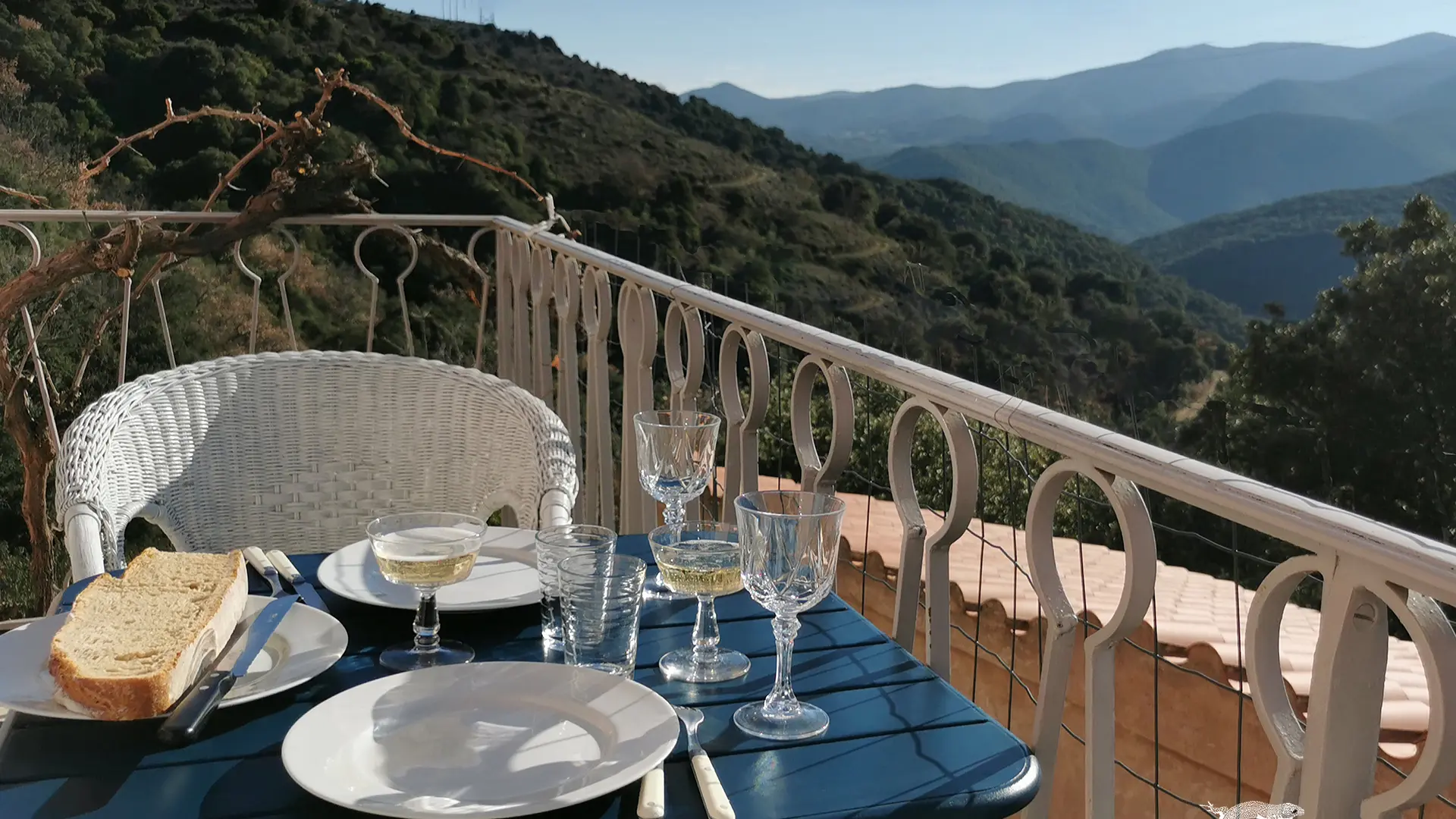 Cafe Abadie terrasse 12