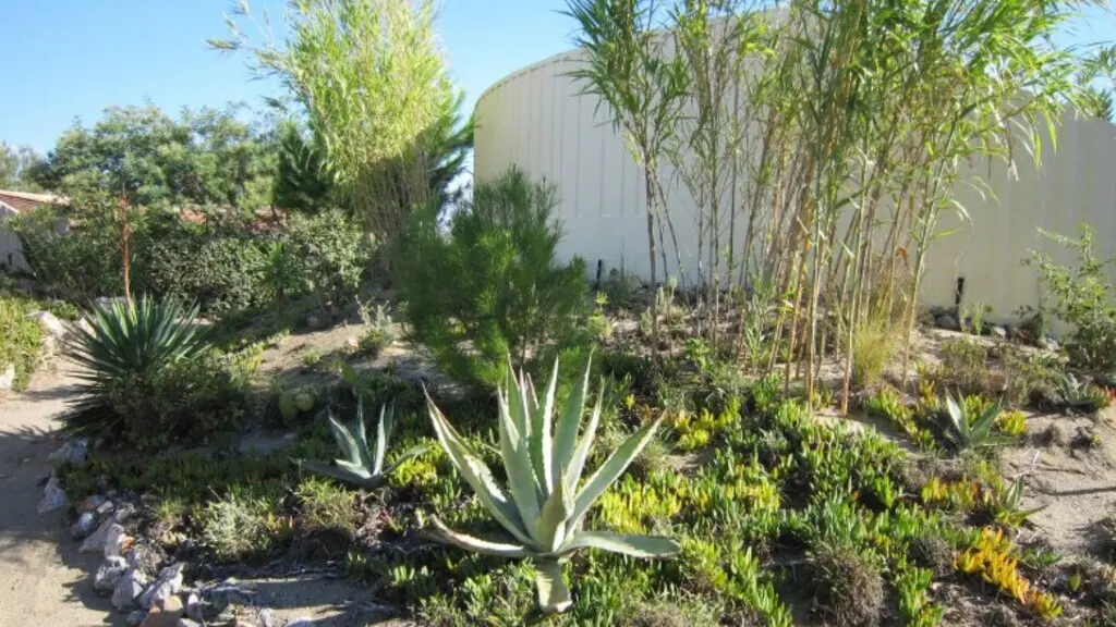 Torreilles HLO Villa 566