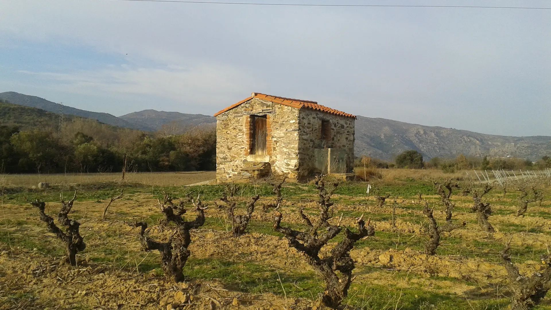 Casot dans les vignes