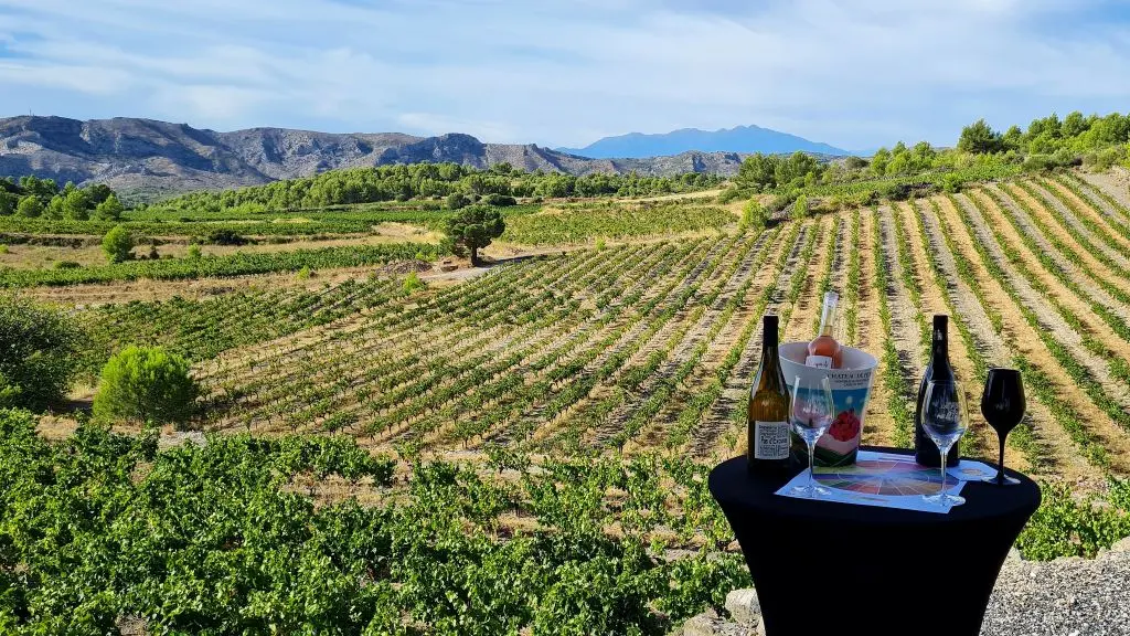 Catalan Wine Escape photo 3