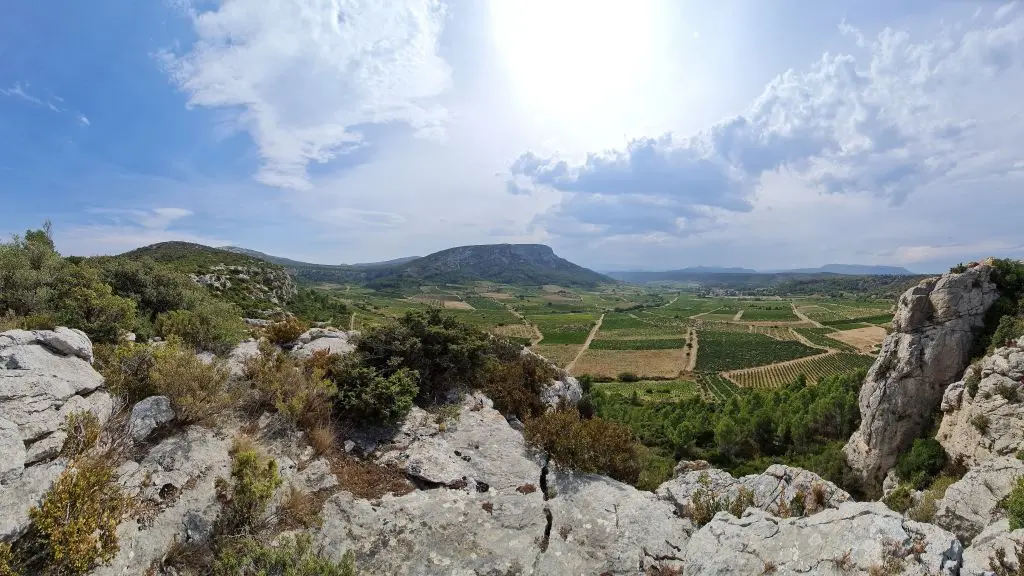 Catalan Wine Escape photo1
