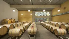 Domaine Thunevin-Calvet