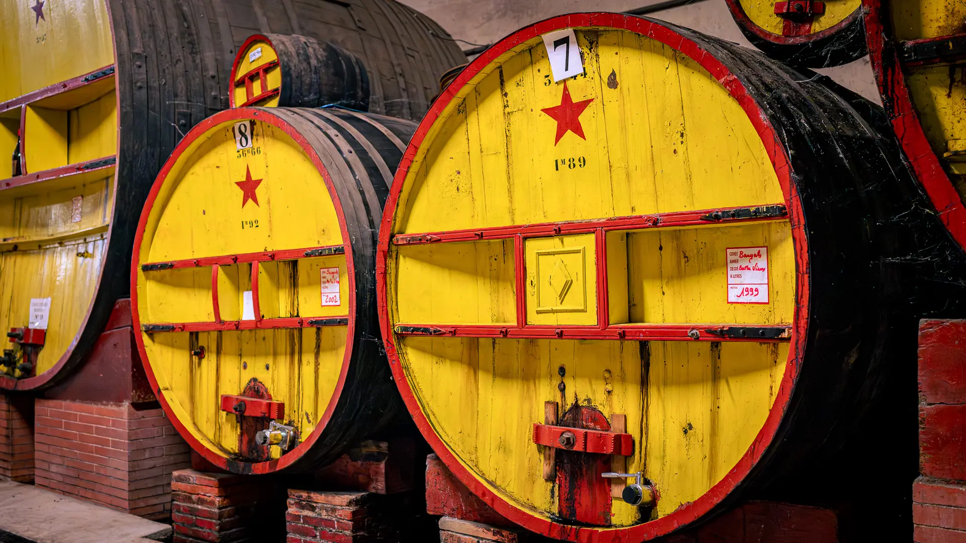 Cave l'Etoile 2025 (10)