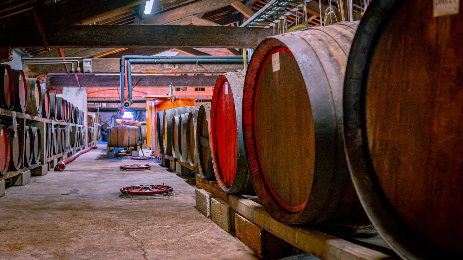 Cave l'Etoile 2025 (3)