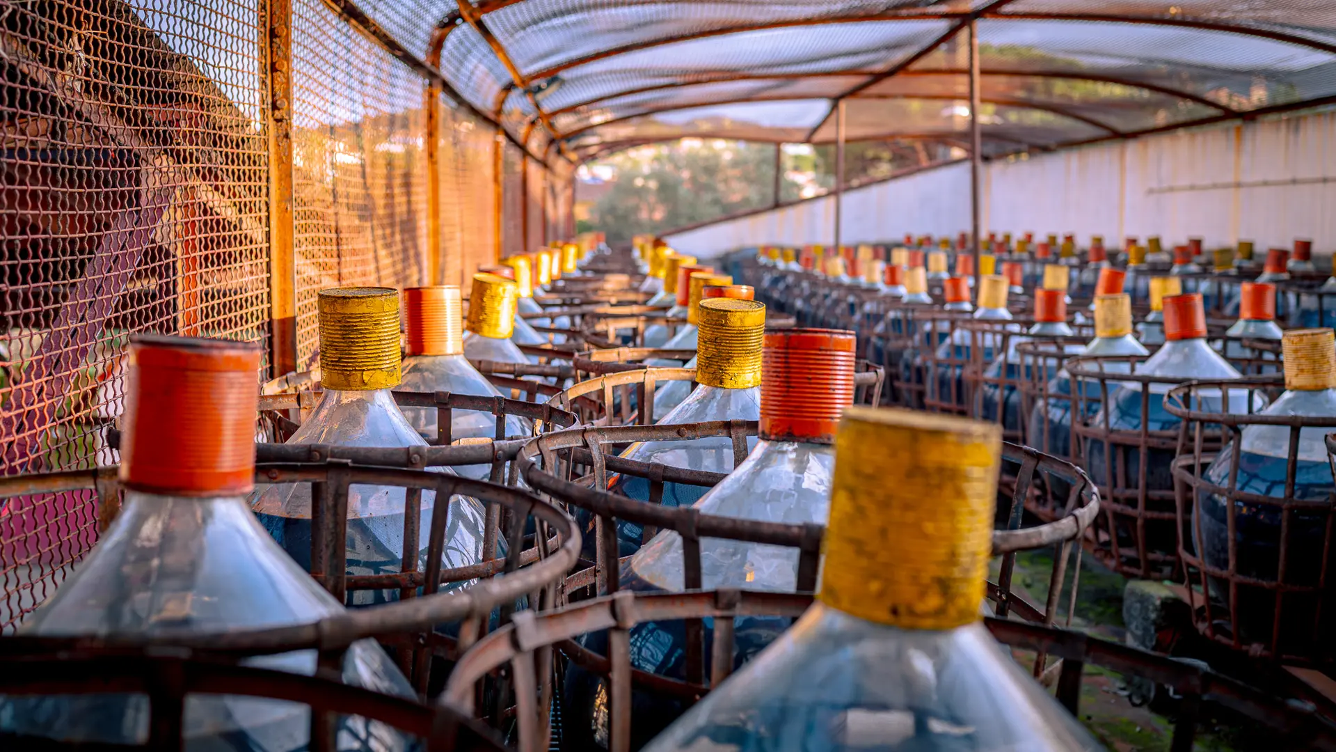 Cave l'Etoile 2025 (8)