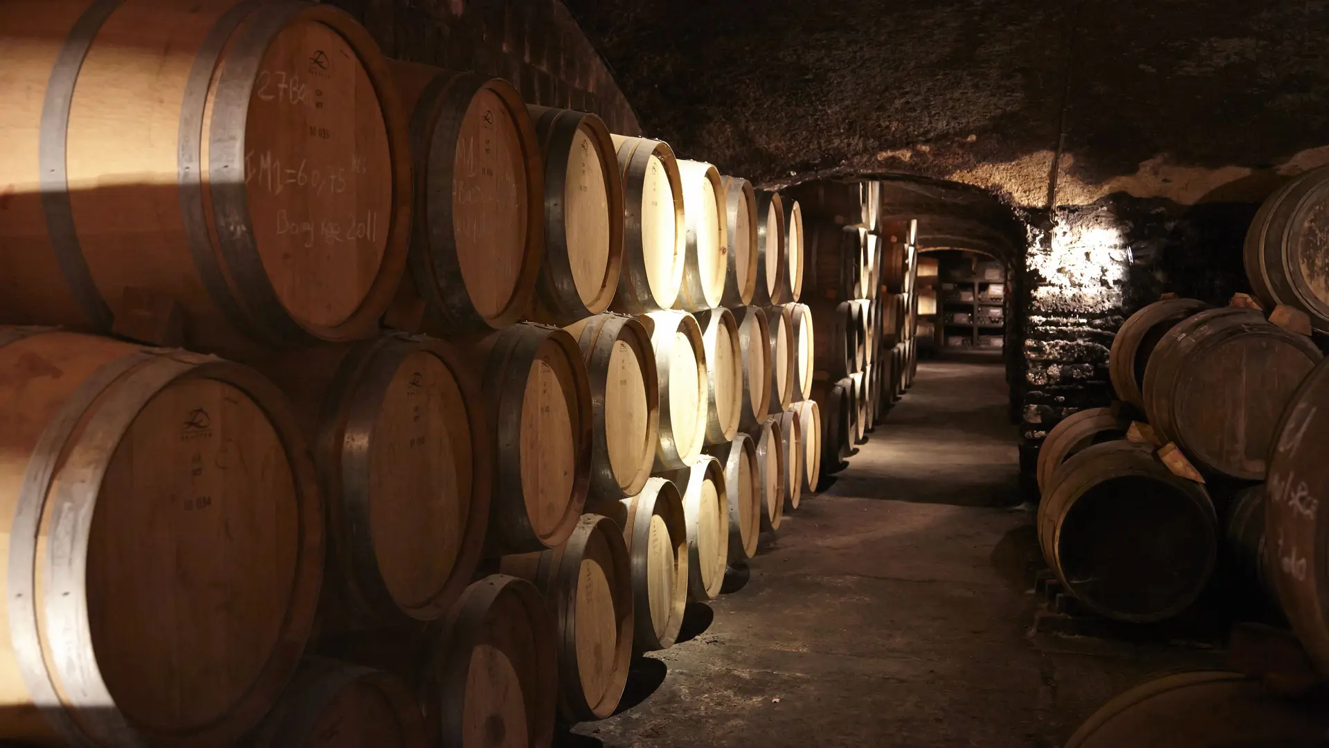 Cave souterraine élevage barriques