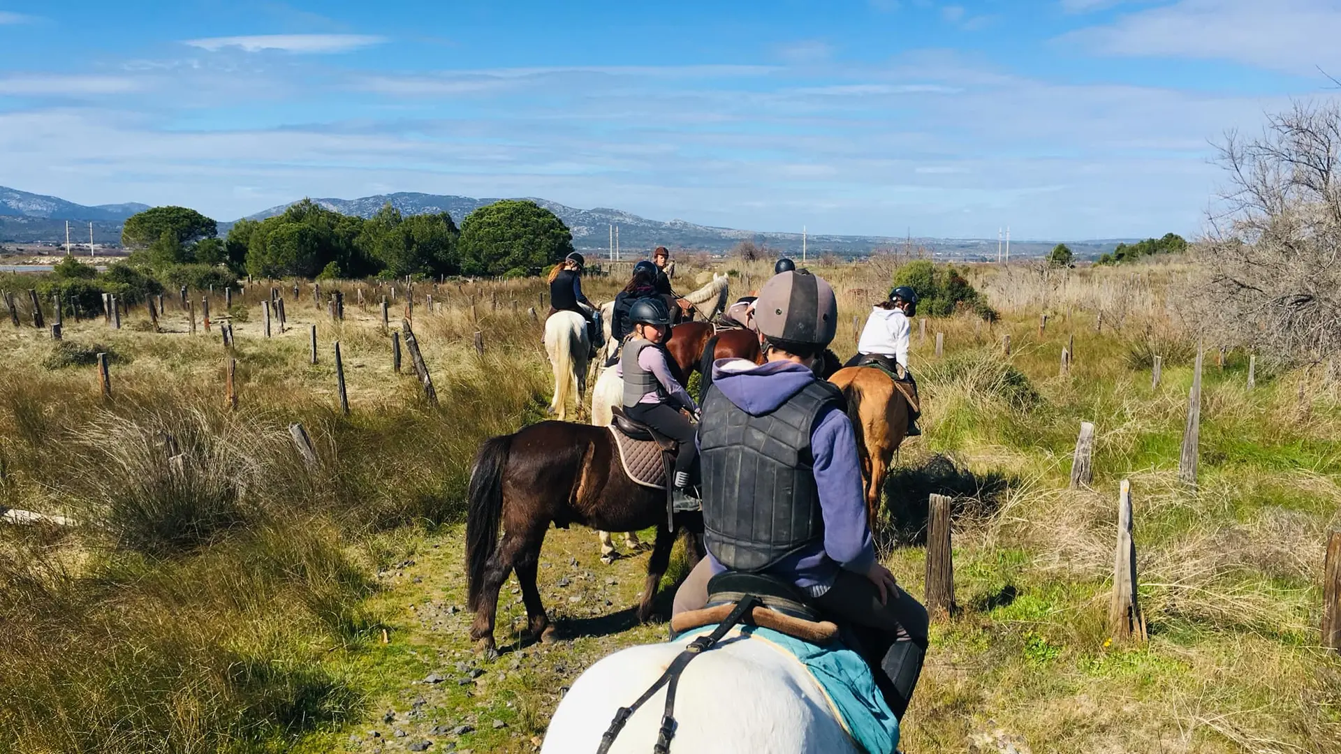 Centre équestre La Colonie 1