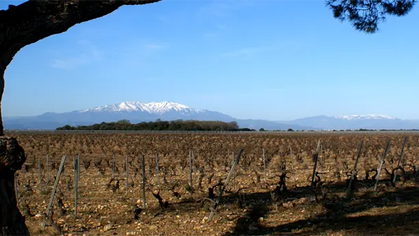 Chateau L'esparrou 1