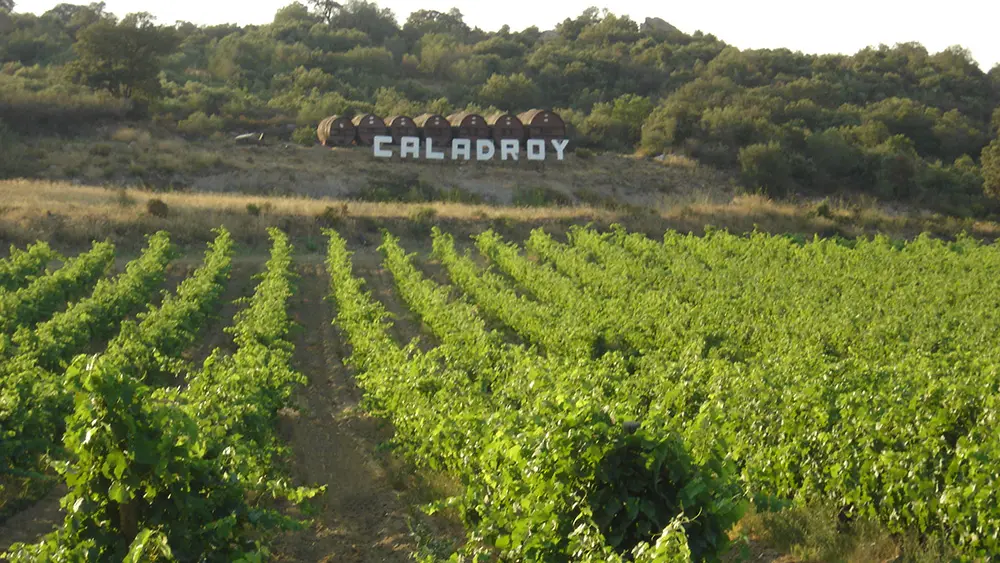 Chateau de Caladroy 3