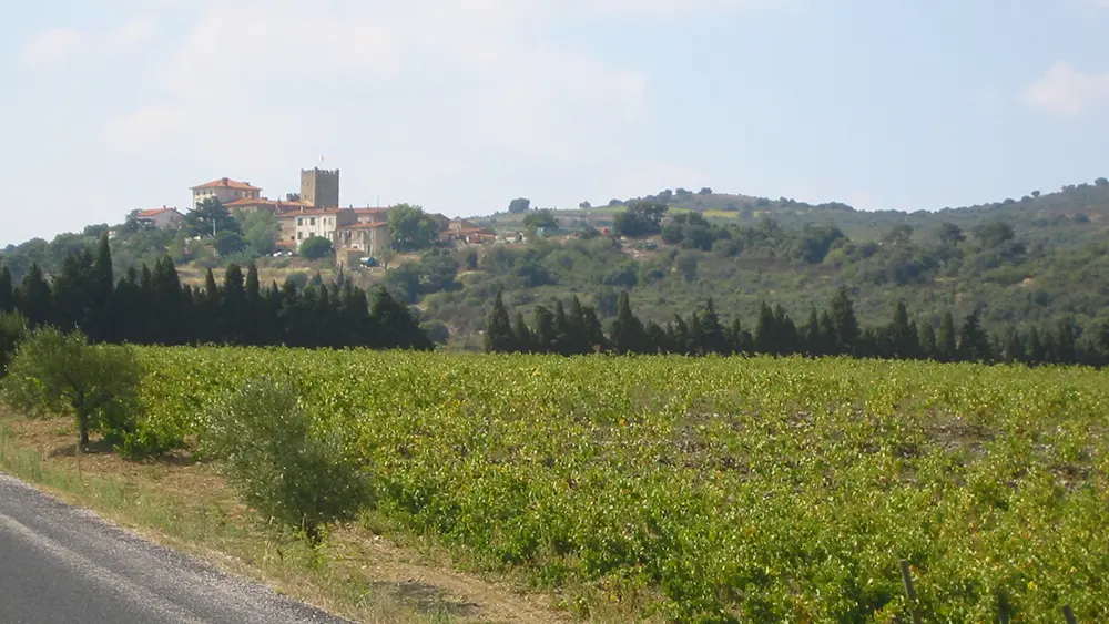 Chateau de Caladroy 4