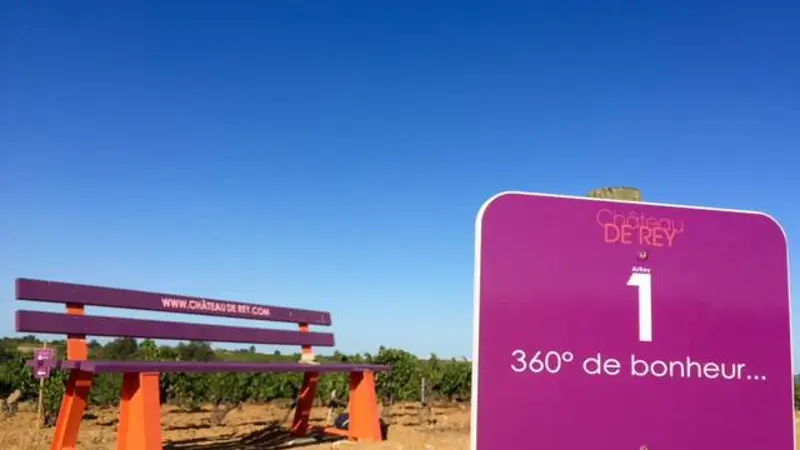 SE PROMEMER DANS LES VIGNES