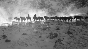 Cheval transhumance ©Paul Palau 2