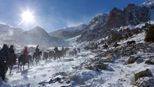 Cheval transhumance 1 ©Paul Palau