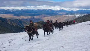Chevaltranshumance 3 ©Paul Palau