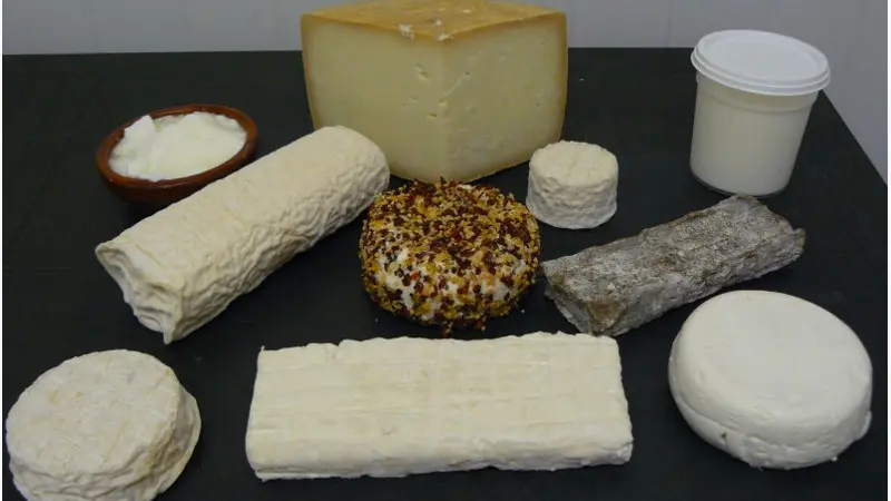 Chevriers de St Arnac 1