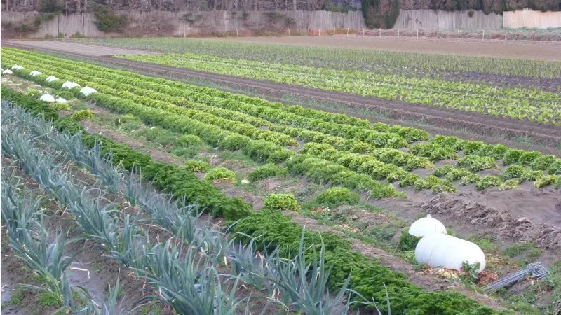 Chez Bernard et Mado 3