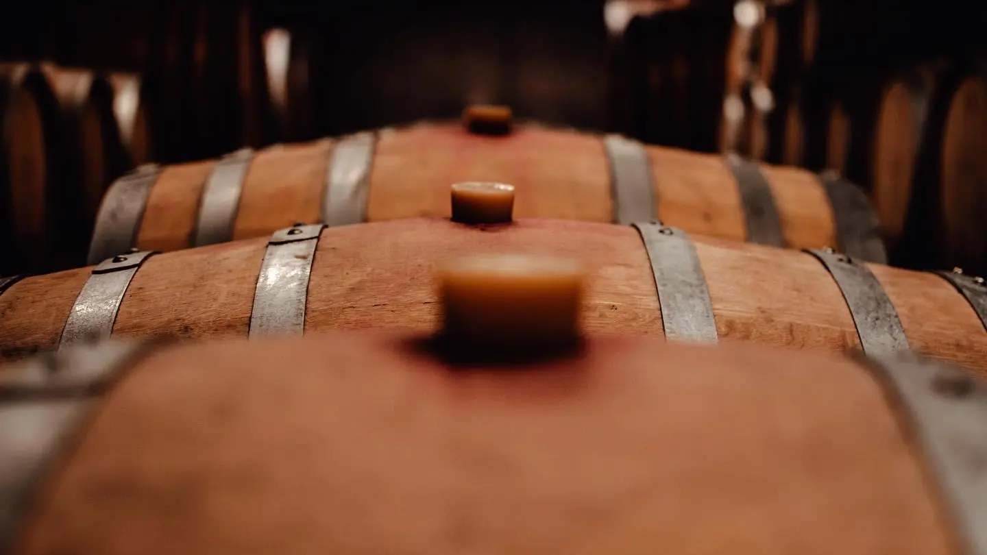 Copie de PHOTO-2022-03-15-14-38-31 3