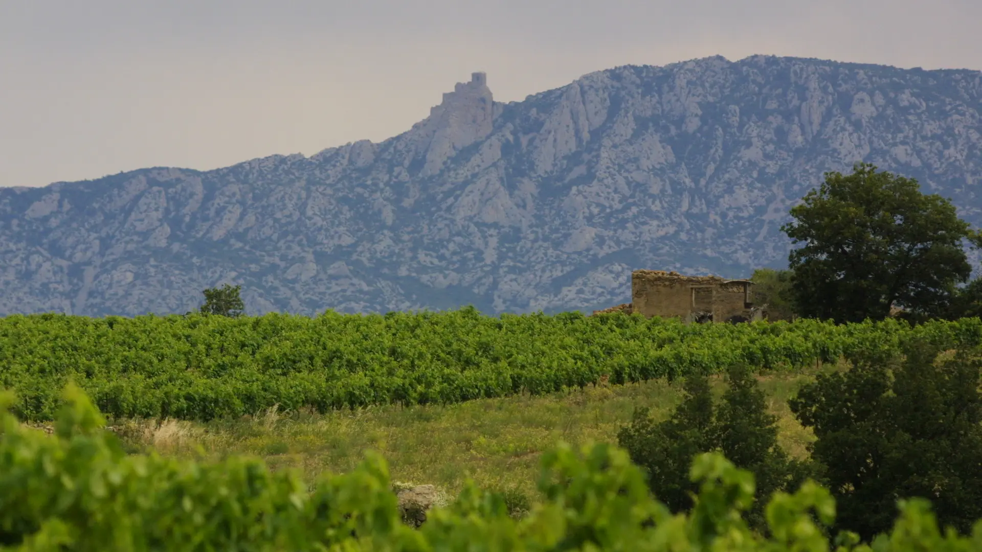 Copie de Reportage Domaine 192 - copie