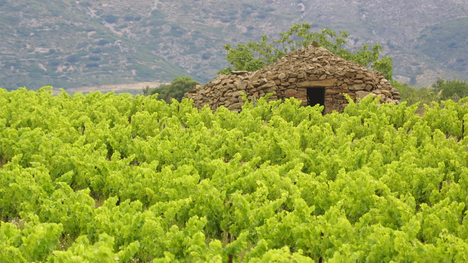 Copie de Reportage Domaine 306