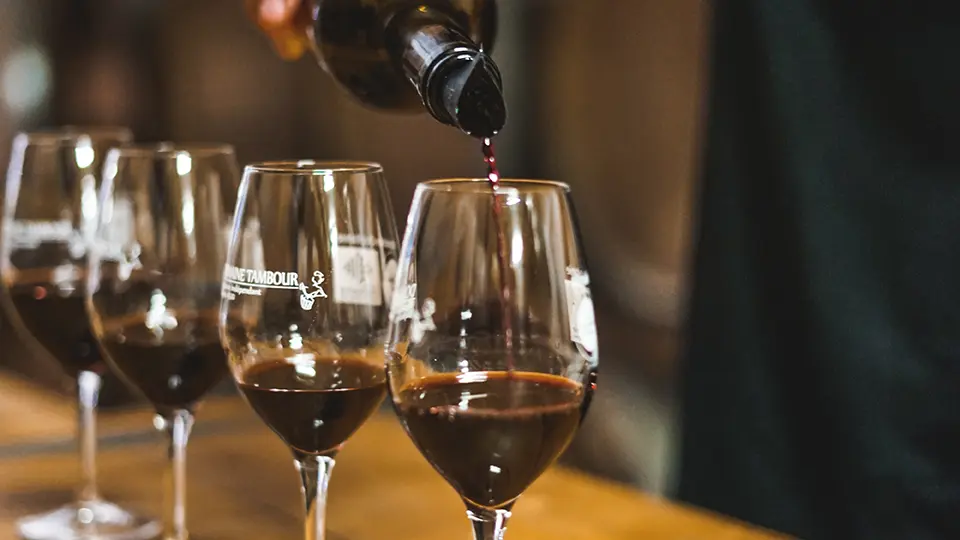 Cote_boeuf_4 - ©Domaine Tambour