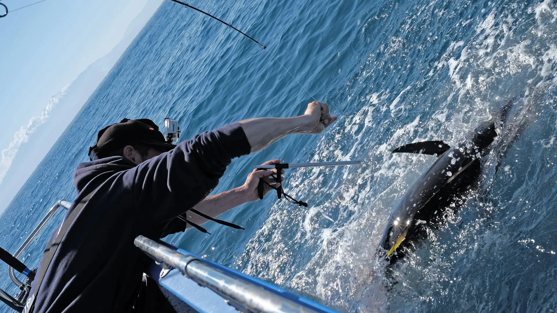 Cliché Iscle Martinez Roig cut