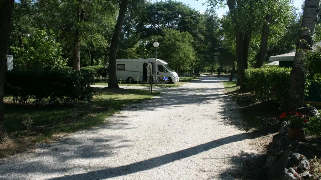 Cpg Latour de France 5