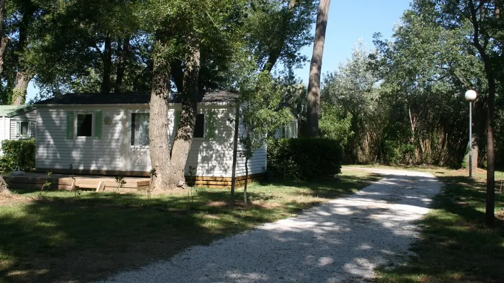 Cpg Latour de France 3