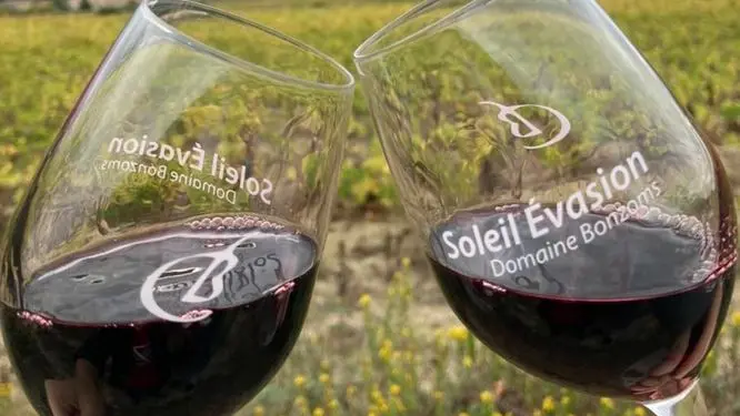 DOMAINE BONZOMS VERRES