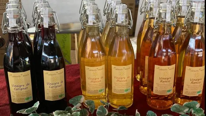 DOMAINE BONZOMS VINAIGRES