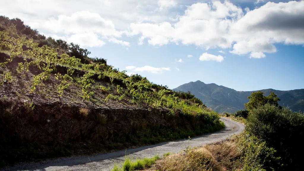 DOMAINE VIAL MAGNERES 5