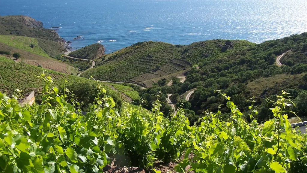 DOMAINE VIAL MAGNERES 6