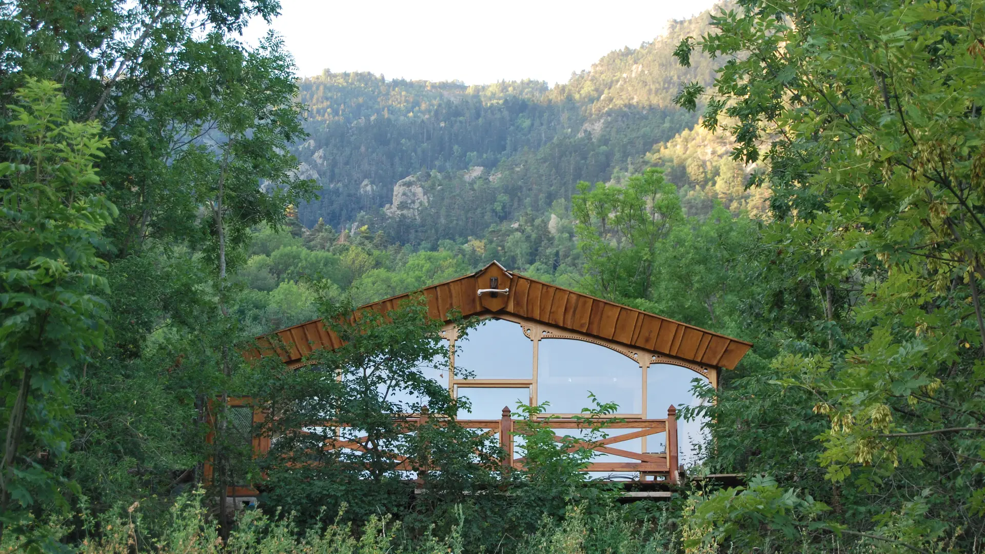 Nid d'amour en forêt