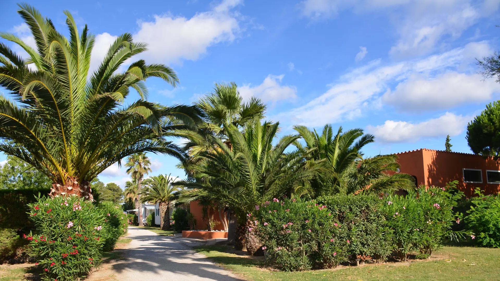 TORREILLES HPA LES TROPIQUES