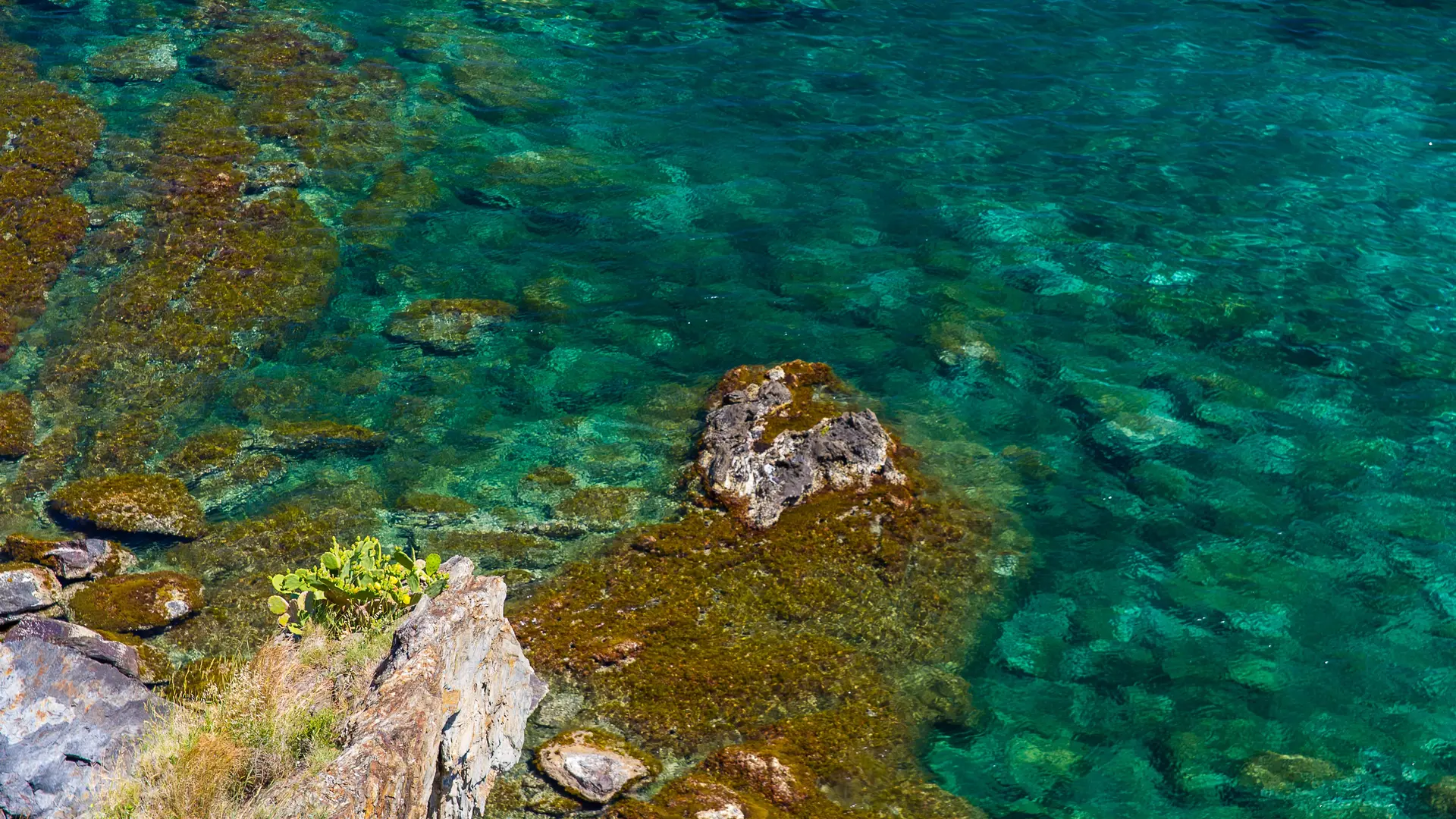 Réserve naturelle marine Cerbere Banyuls