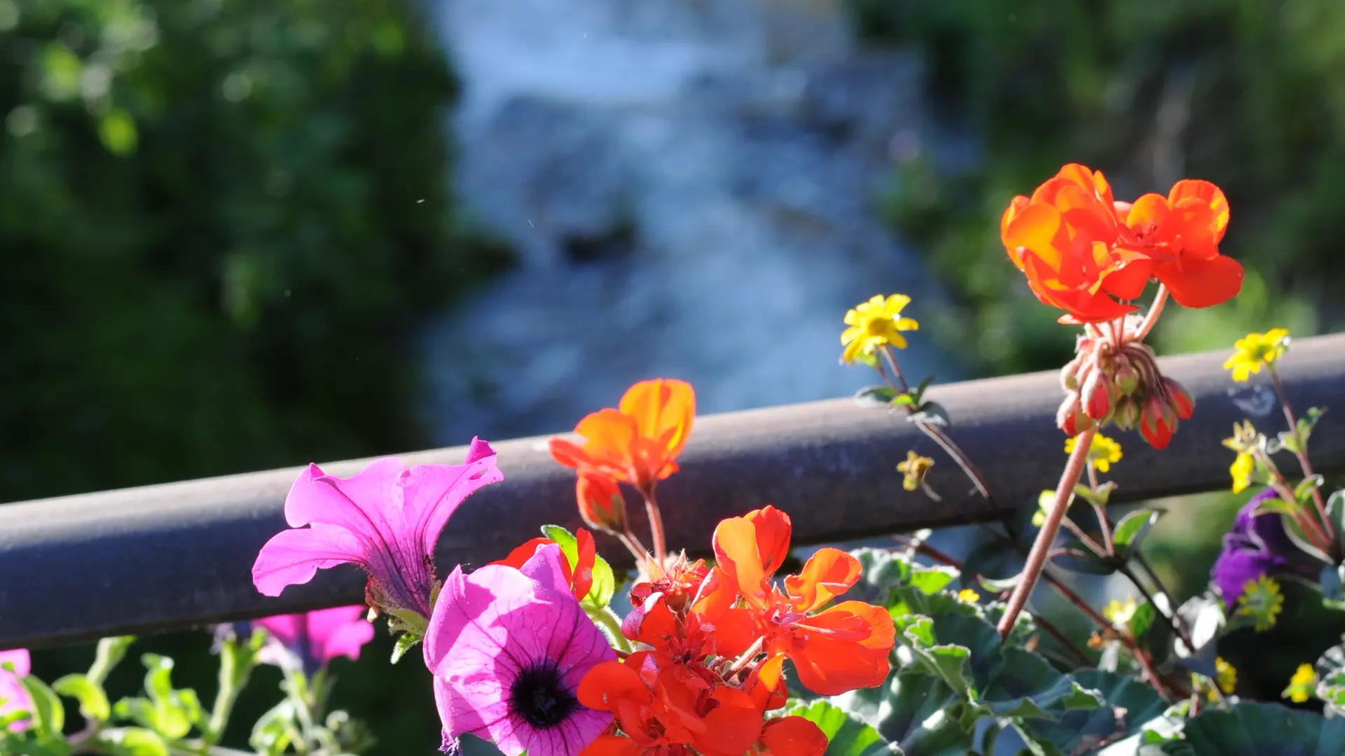 Auberge des Ecureuils 1