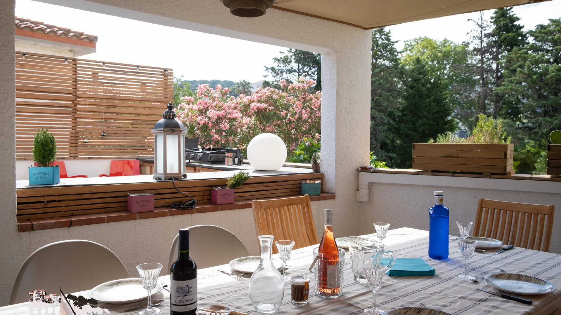 DSCF8490_L'Appart des Orangers - Banyuls