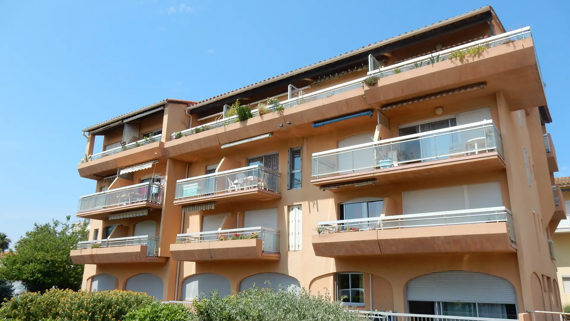 Marines du port canet