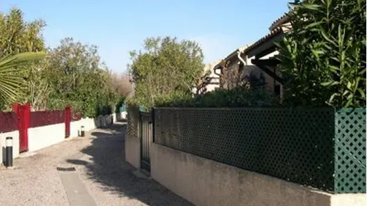 DV1