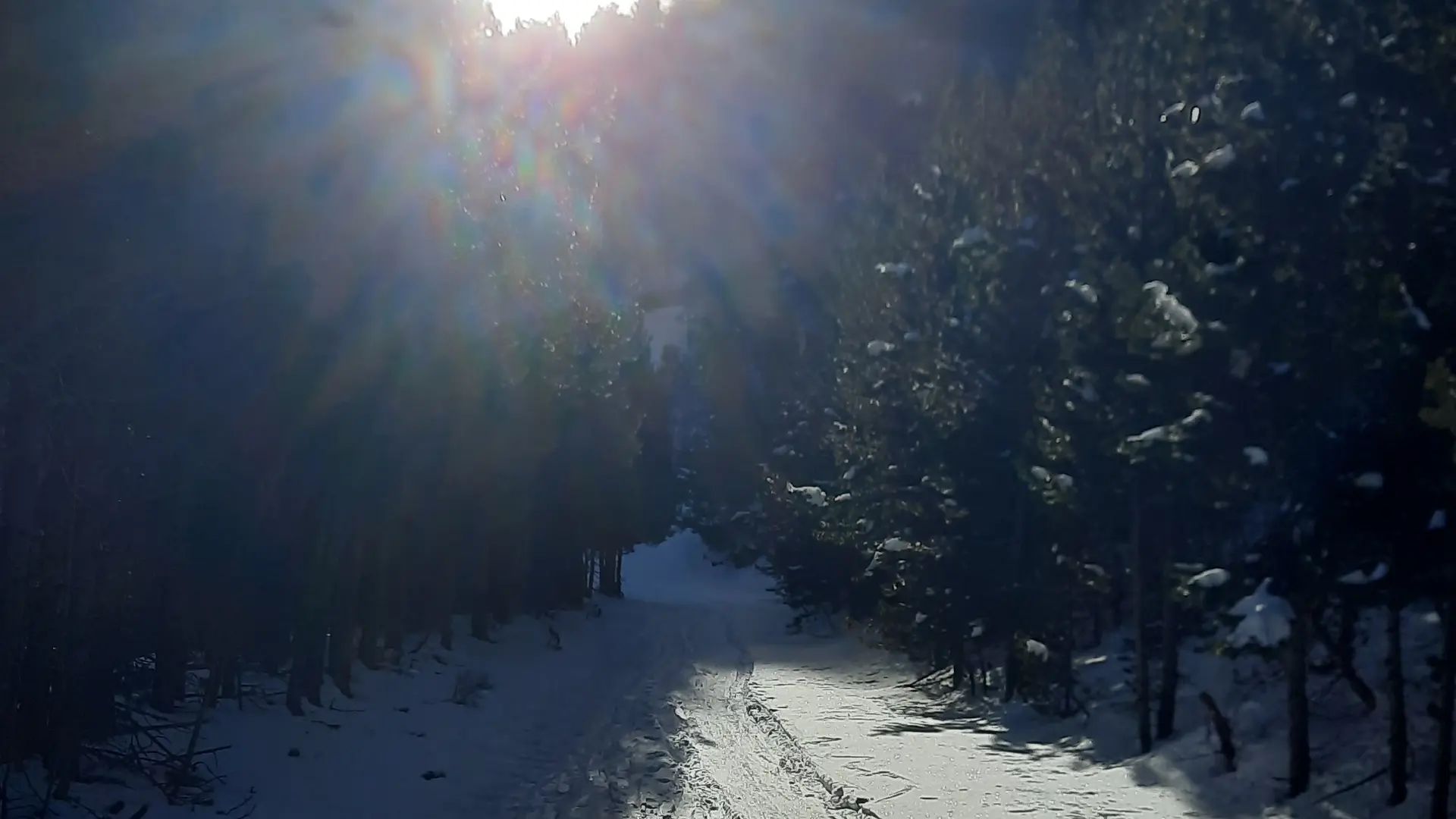 Départ en foret au dessus du village - format carré