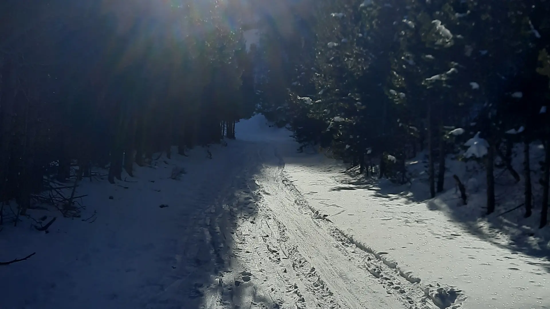 Départ en foret au dessus du village