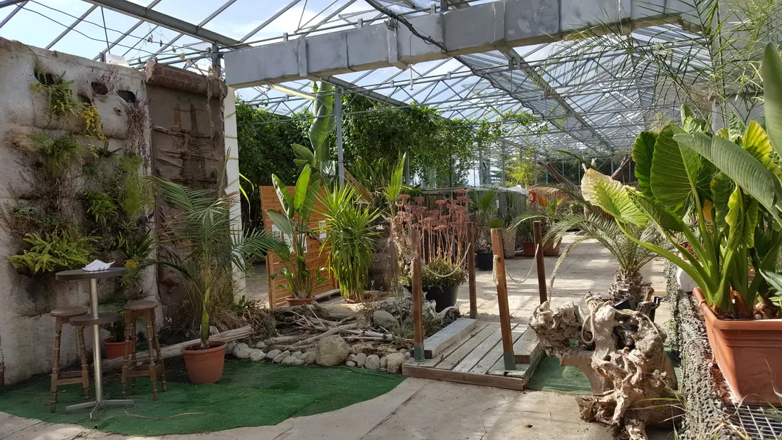 TORREILLES LOI DINOSARIUM