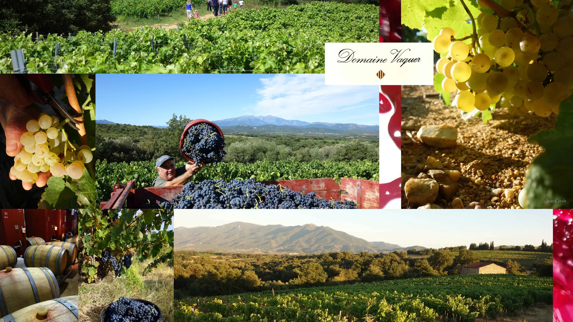 Aspres Tresserre Domaine Vaquer 2